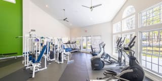 Ellevate St. Ives Gallery 7