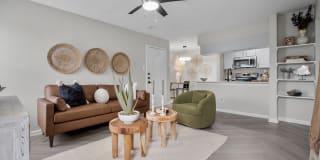 The Jaxon Gallery 20