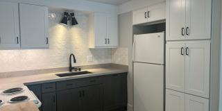 Newly Remodeled Condo on Capitol Hill - Close to UW Gallery 5