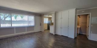 The Pines Apartments Gallery 3