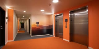 Sundodger Gallery 27