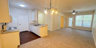 6016 Gallery 12
