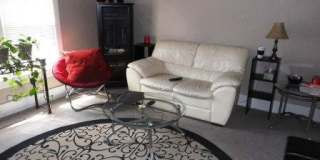 Charming 1 bedroom apartment close to MSU Gallery 6