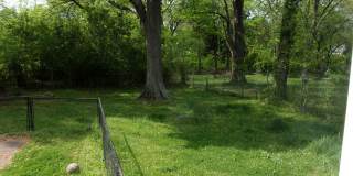 Charming 2 Bedroom 1 Bath Home in the Heart of Downtown Rock Hill Gallery 11