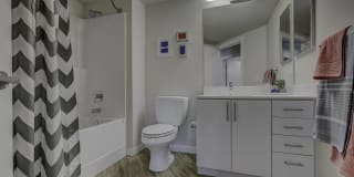Spruce Gallery 23