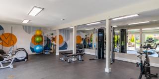 Alder Bellevue Gallery 14