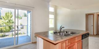 2-Bedroom DuPont Condo with New Interior Paint and Carpet Gallery 13