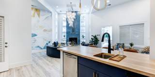 Avana Lake Norman Gallery 18