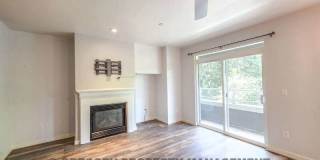 925 110th Ave NE Gallery 19