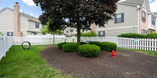 Mason Row Gallery 27