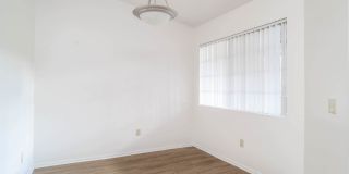 Windridge Gallery 39