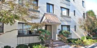 3815 DAVIS PL NW #1 Gallery 1
