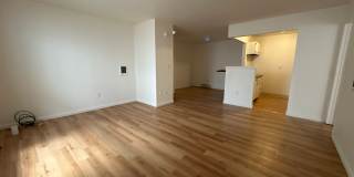 University Park Gallery 306