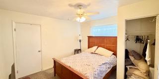 524 E Lime St Gallery 10