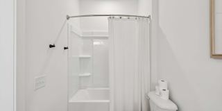 The Emerson at Commonwealth Gallery 18