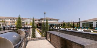 Sugarloaf Grove Gallery 18