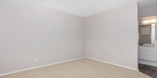 Mountain Springs Gallery 58