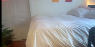1609 Sydenham Gallery 36