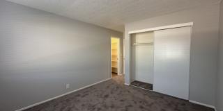 Summer Woods Gallery 17