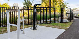 Madison West Elm Gallery 79