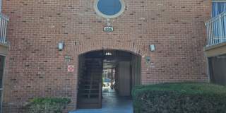 496 BANYON TREE CIRCLE Gallery 1