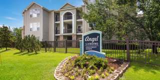 Angel Landing Gallery 14