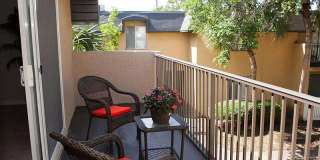 Bella Terraza Gallery 364