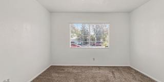 Henderson!!! 4 Bedrooms!! Single Story!! 2 car garage!! Big Back Yard!!! No HOA!! All Appliances!! Gallery 29