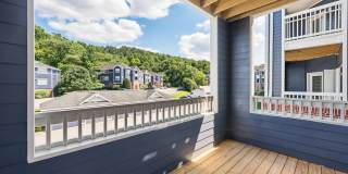 Avana Lexington Gallery 11