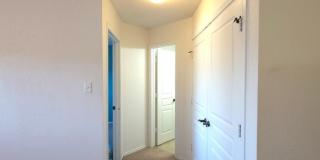 3907 Paradiso Loop Gallery 28