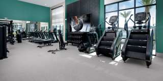 North Grove Gallery 68