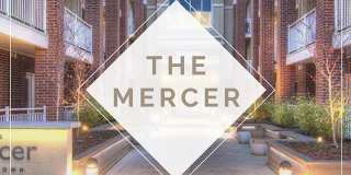 The Mercer Gallery 1