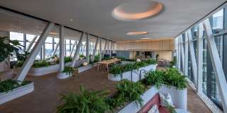The Elm Gallery 8
