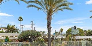 33782 Robles Drive Gallery 59