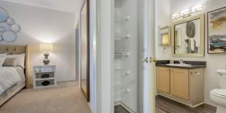 Coleman Canal Winchester Gallery 38