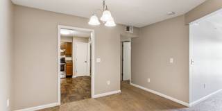 Ashford Place Gallery 56