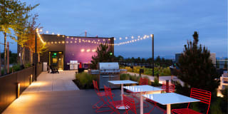 Vida Gallery 27