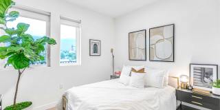 The Rinrose Gallery 62