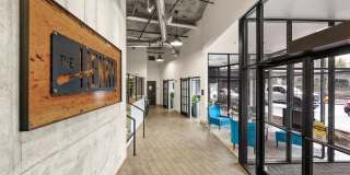 The Henry Gallery 13