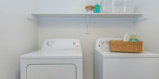 Ravella at Sienna Gallery 29