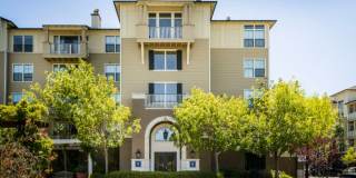 Marlin Cove Apartments Marlin Cove Apartments Gallery 37