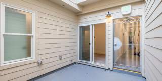 737 PINE Gallery 11