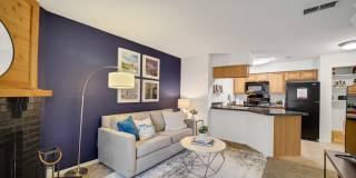 TGM Meadow View Gallery 9