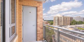 The Veridian Gallery 66