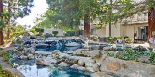 Hidden Silicon Valley Oasis! 2BR/2.5BA Townhome with TWO Private Patios, 2 Dedicated Parking Spaces, Pool, Tennis Courts & Utilities Included! Gallery 51