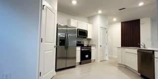 339 PUMA LOOP Gallery 5