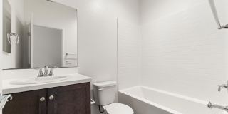 12162 Diamond Dust Dr. 12162 Diamond Dust Dr. Gallery 15