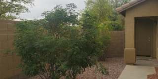 45967 W Starlight Drive Gallery 6