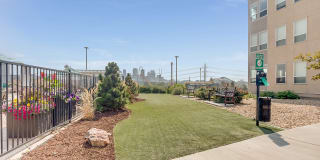 Element 47 by Windsor Gallery 28