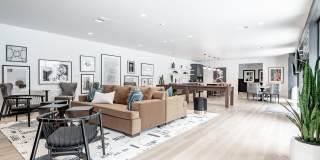 Muse Apartments Gallery 3